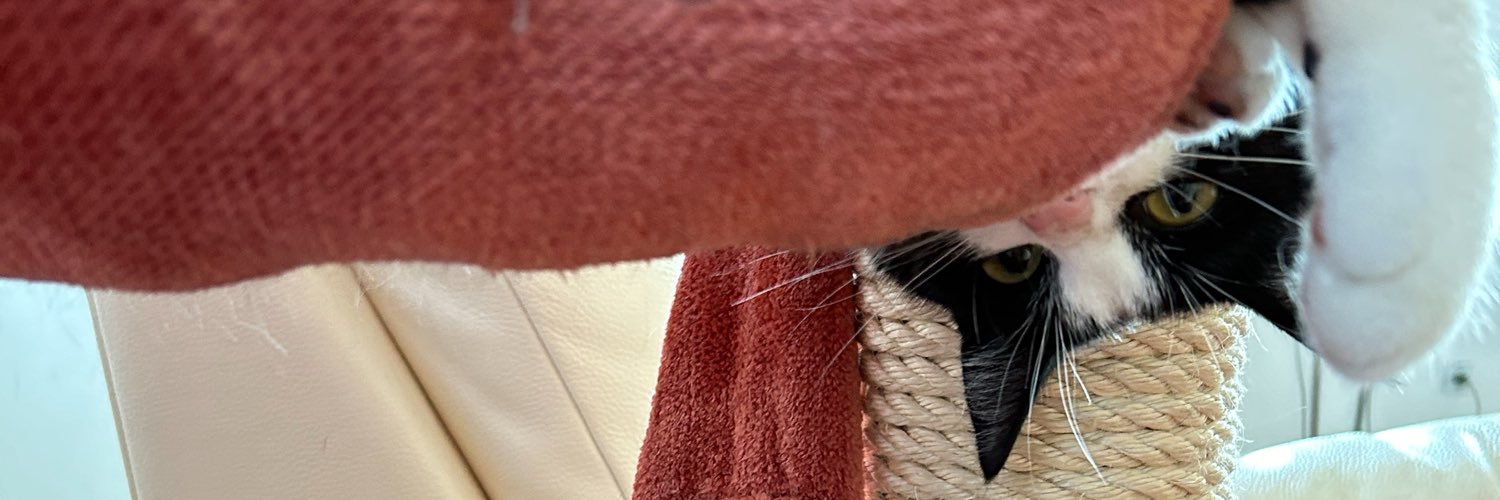 Danaciiim's profile banner image