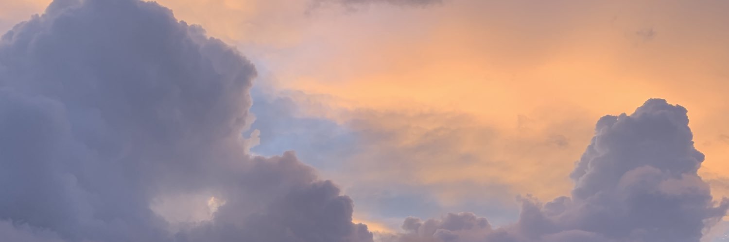 Dellalithzam's profile banner image