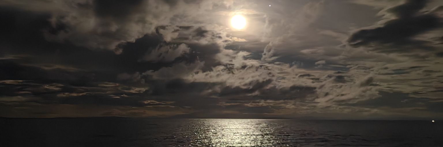 Xandee banner