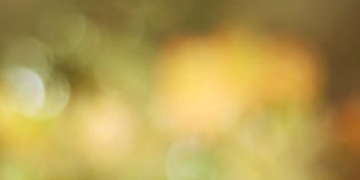 fars2014's profile banner image