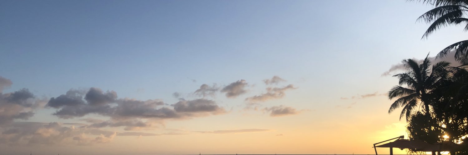 gamikossu's profile banner image