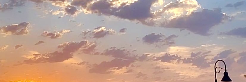 zoefelice's profile banner image