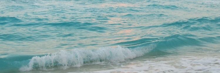 allyclar's profile banner image