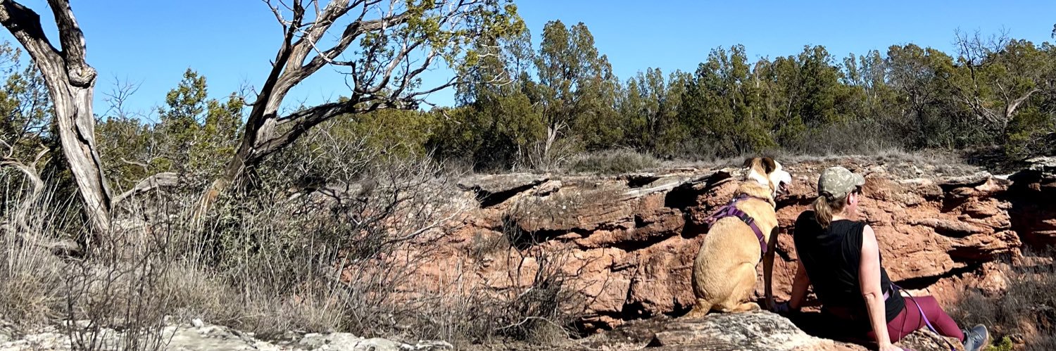 Tania McKinney, MHA, LAT banner