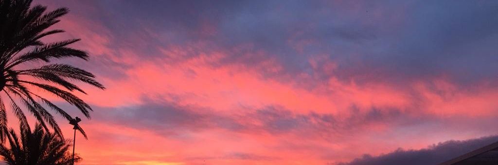 CamposDelro's profile banner image