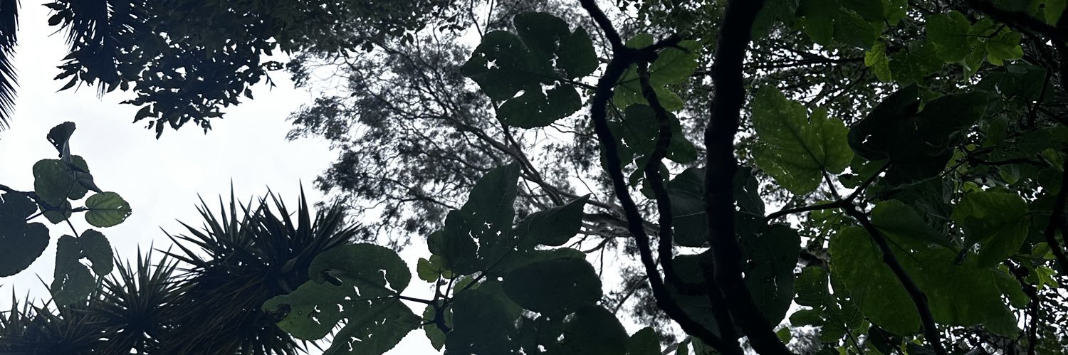 epdre's profile banner image