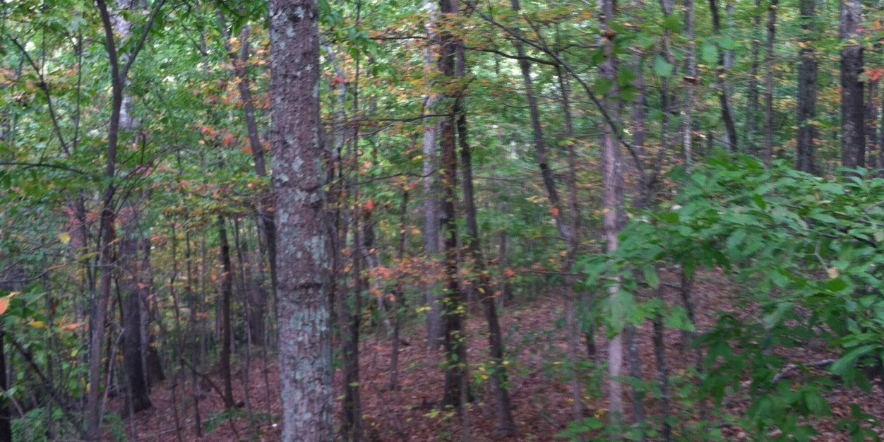larn_Jeff_c's profile banner image