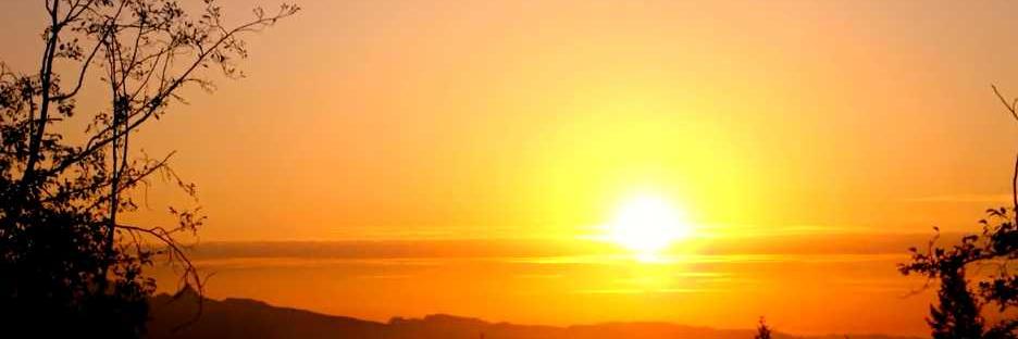 srivastav23's profile banner image