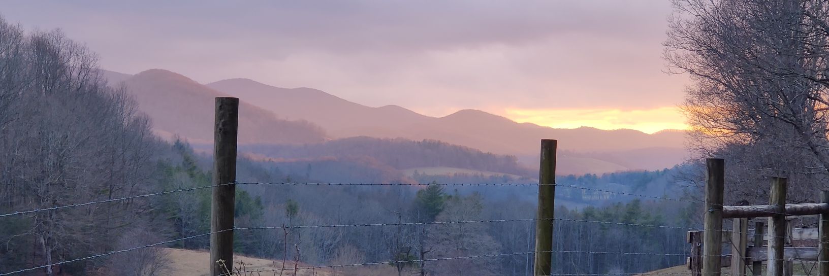 KingBocca's profile banner image