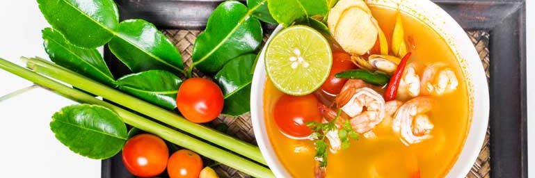 Healthy__World's profile banner image