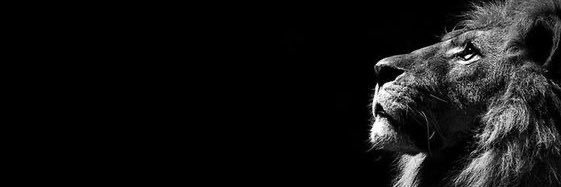 ÓLÓKÓJÓBÍ  banner