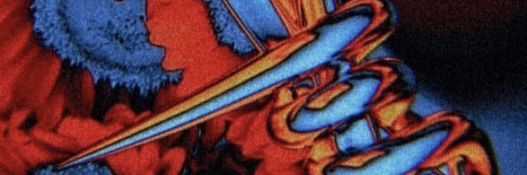 BrunoNatalucci's profile banner image