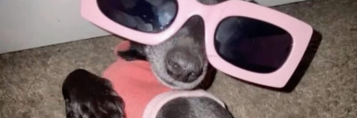 natigori's profile banner image