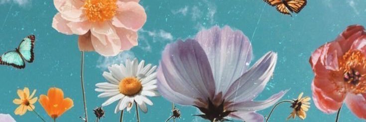 tiarastephani's profile banner image
