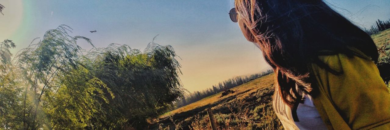 MarjoLastra's profile banner image