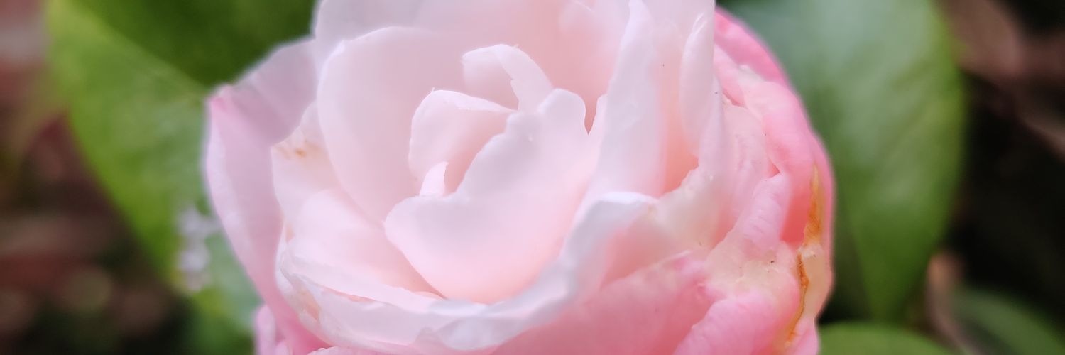 Vilent_GG's profile banner image