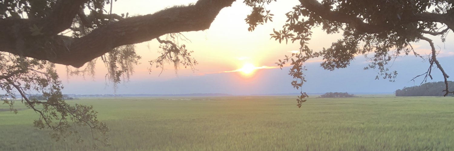 Elton Pollock banner