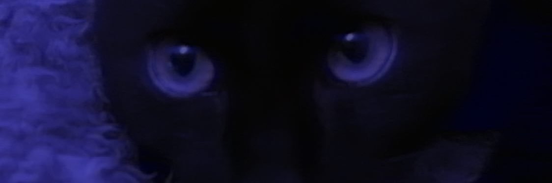 𝖕𝖆𝖗𝖆𝖉𝖎𝖟𝖊 🪩 banner