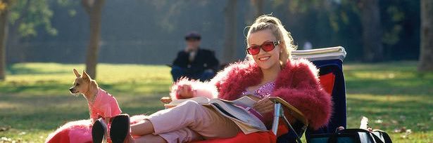 EmilyHolcomb3's profile banner image
