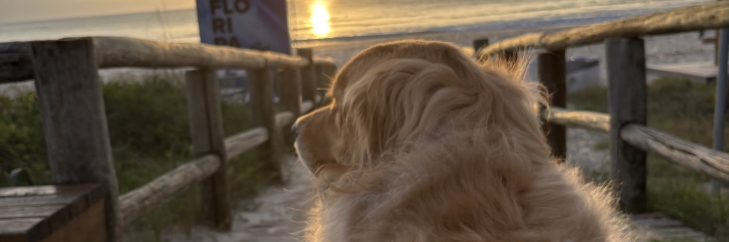 hamater15's profile banner image