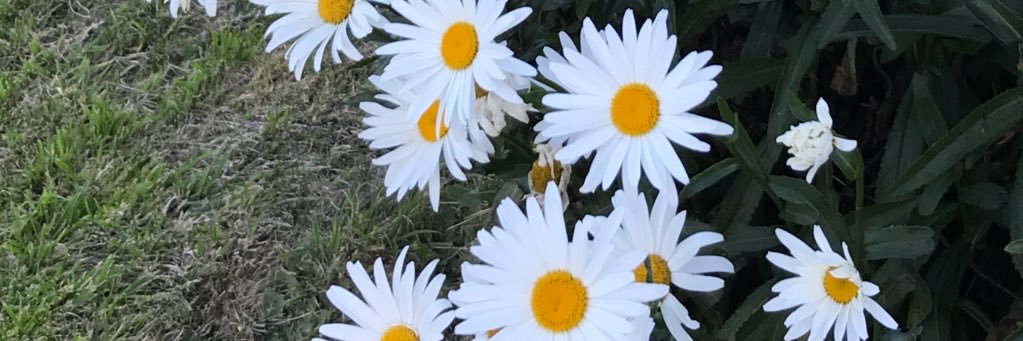 ladyemilyg's profile banner image