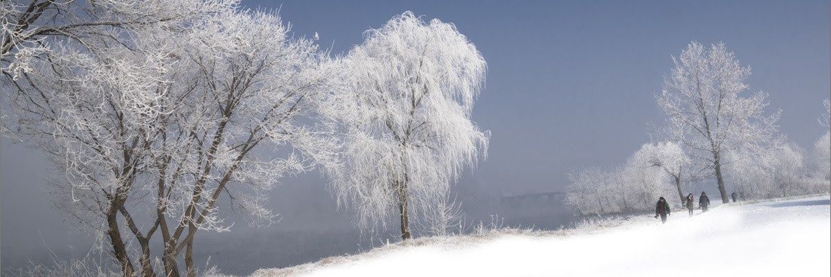 artkr's profile banner image