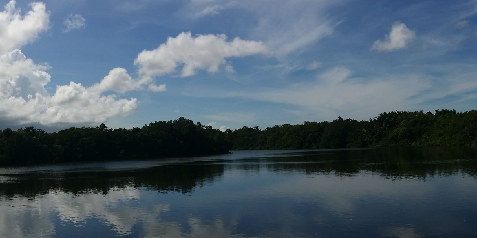 daniielantonio's profile banner image