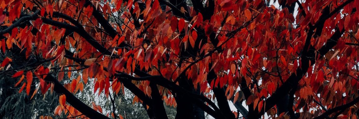 rnem456's profile banner image