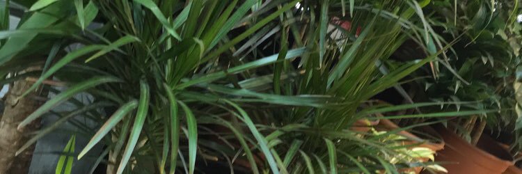 hadethalnfs's profile banner image