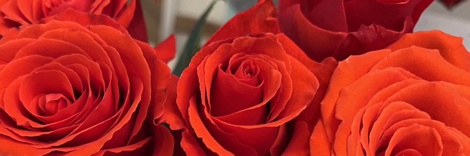 ffergie_h's profile banner image