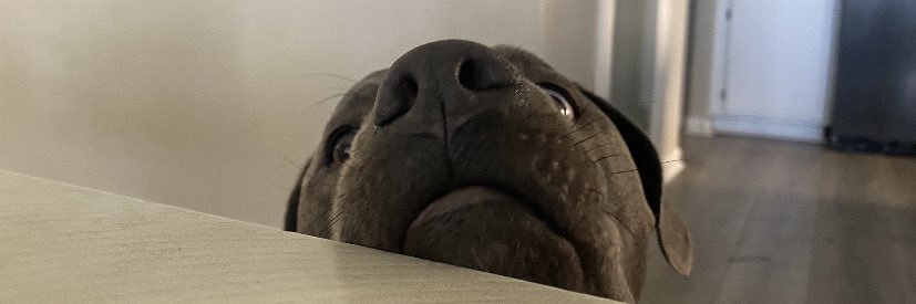 jacob12552's profile banner image