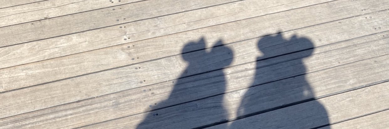 Beabs_17's profile banner image