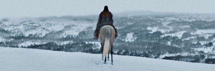 lDanielSaucedo's profile banner image