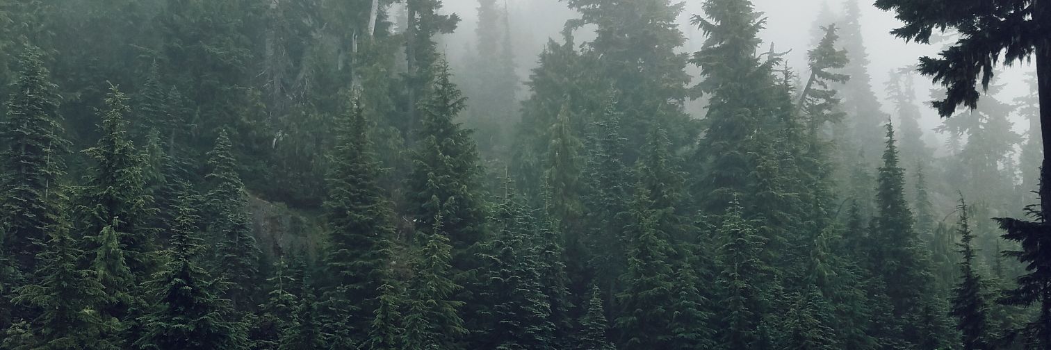 katiegjanis's profile banner image