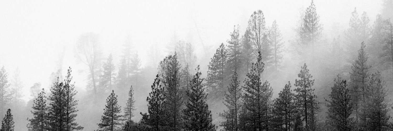 Doug Cloud banner