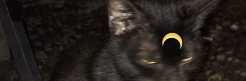 lookfoolish_'s profile banner image