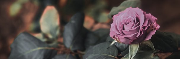 norta66's profile banner image