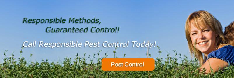 mesapestcontrol's profile banner image