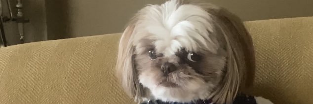kadybags's profile banner image