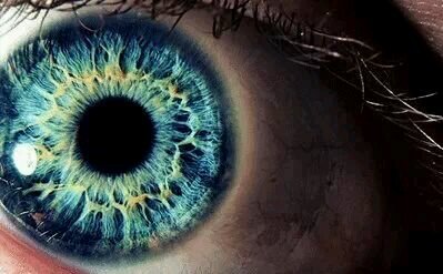 4alesolis's profile banner image