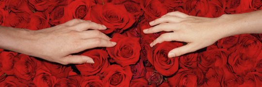 LM__S114's profile banner image