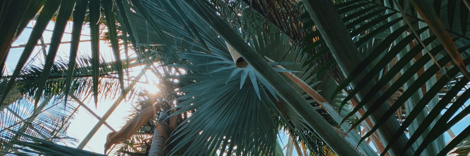 geojones95's profile banner image