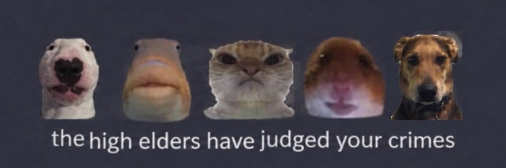 kilgrwve's profile banner image