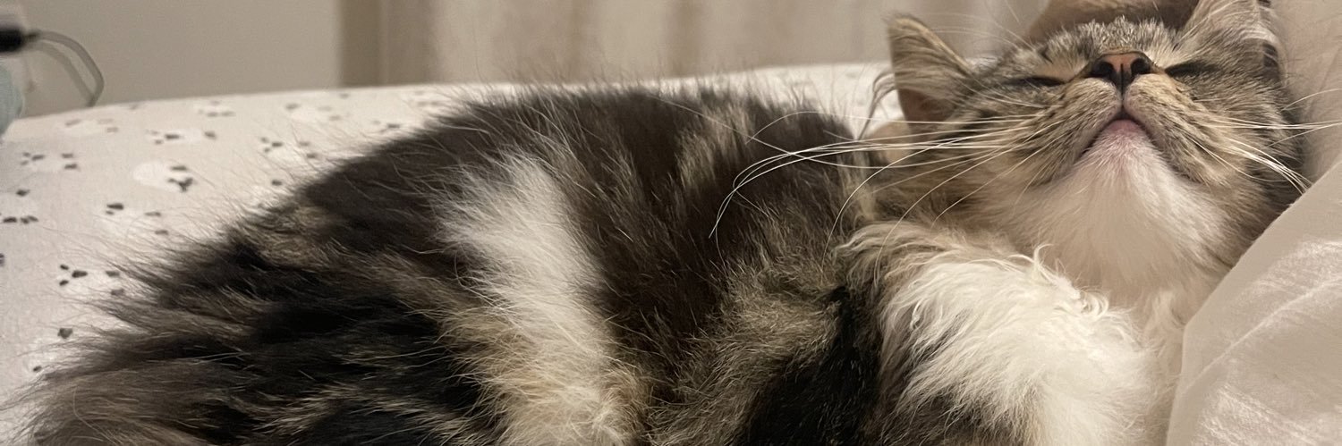 notmarteapot's profile banner image