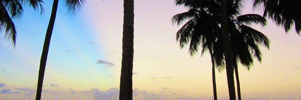 SolBorinquen's profile banner image
