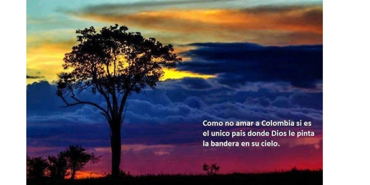rodriguez_cala's profile banner image