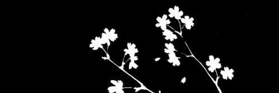 FisaNasution's profile banner image