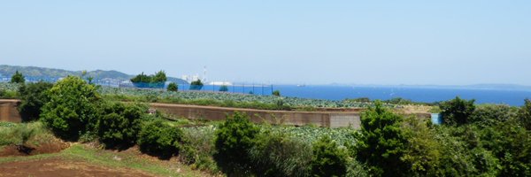 jmatsuda99 Profile Banner