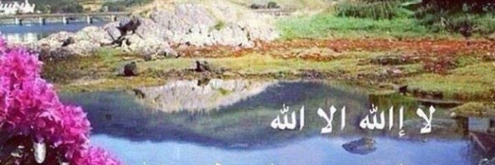 84_lsh's profile banner image
