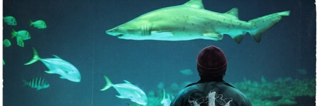 whyajiprnma's profile banner image